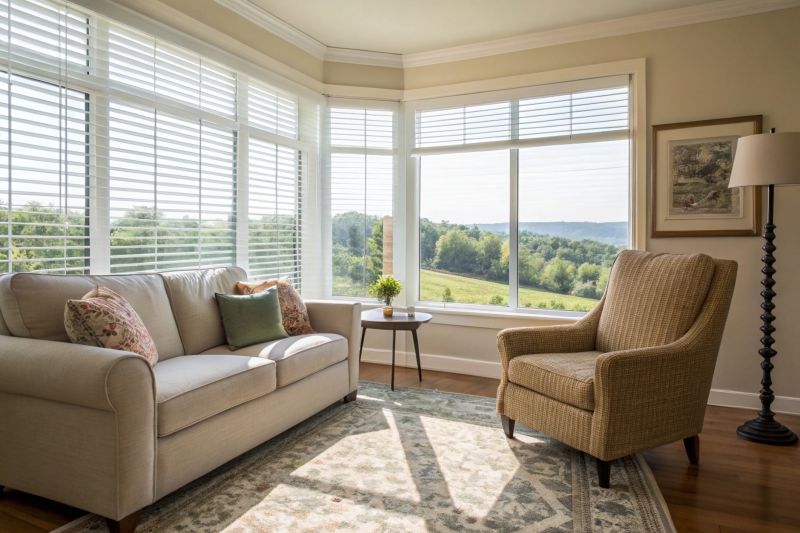 Noise Reduction Window Service